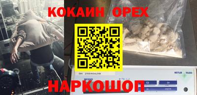 индика Кингисепп