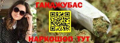 индика Кингисепп