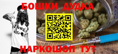 индика Кингисепп