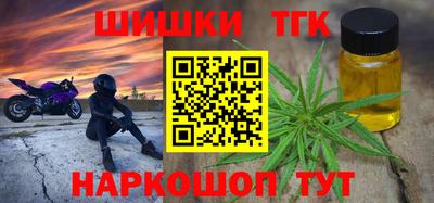 индика Кингисепп