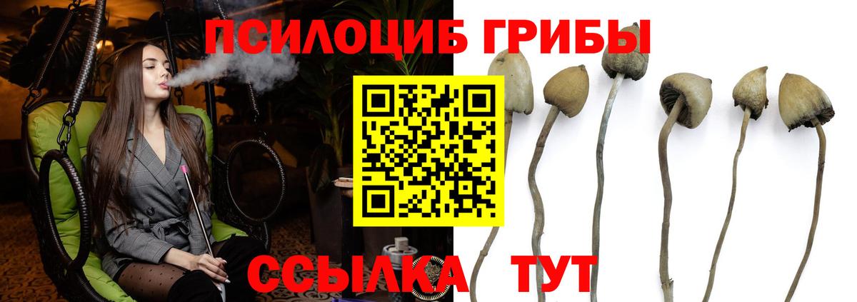 Галлюциногенные грибы ЛСД  наркошоп  Гусиноозёрск  Вход с VPN  Псилоцибиновые грибы прущие грибы 