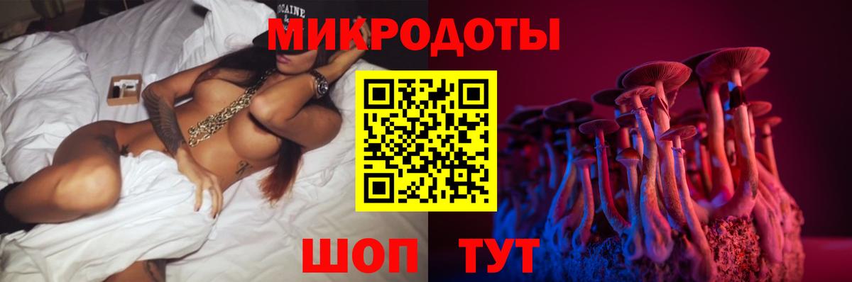 Псилоцибиновые грибы Psilocybe Гусиноозёрск